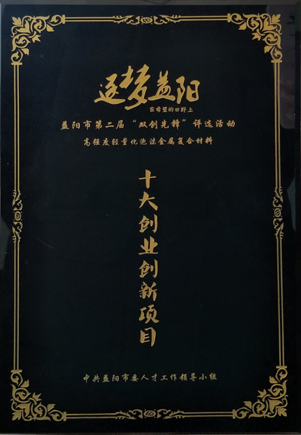 益陽市菲美特新材料有限公司,菲美特新材料,益陽多孔泡沫金屬材料,泡沫鎳生產(chǎn),益陽泡沫銅